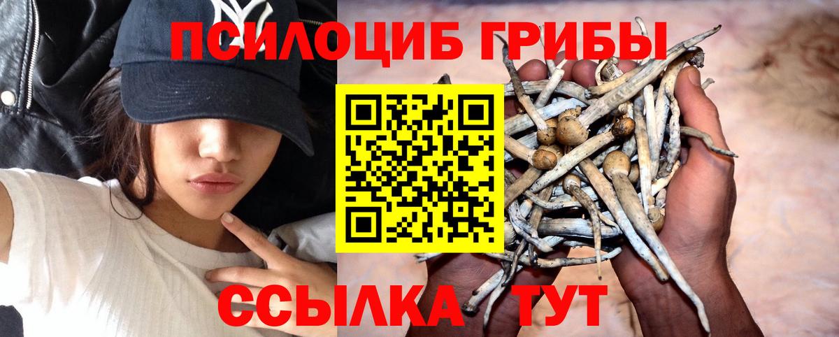 Галлюциногенные грибы мицелий Советская Гавань