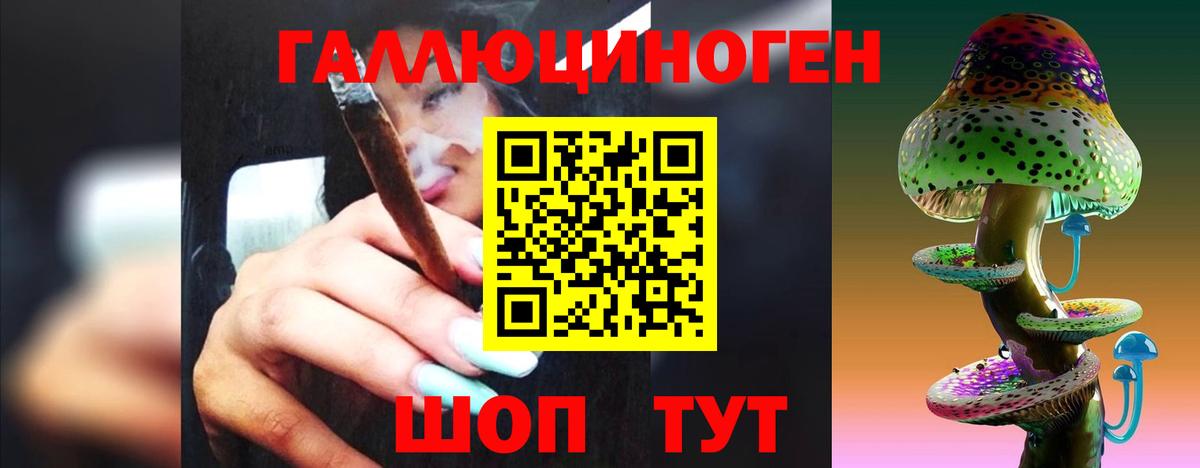 Советская Гавань  Галлюциногенные грибы Psilocybine cubensis  Вход с VPN 